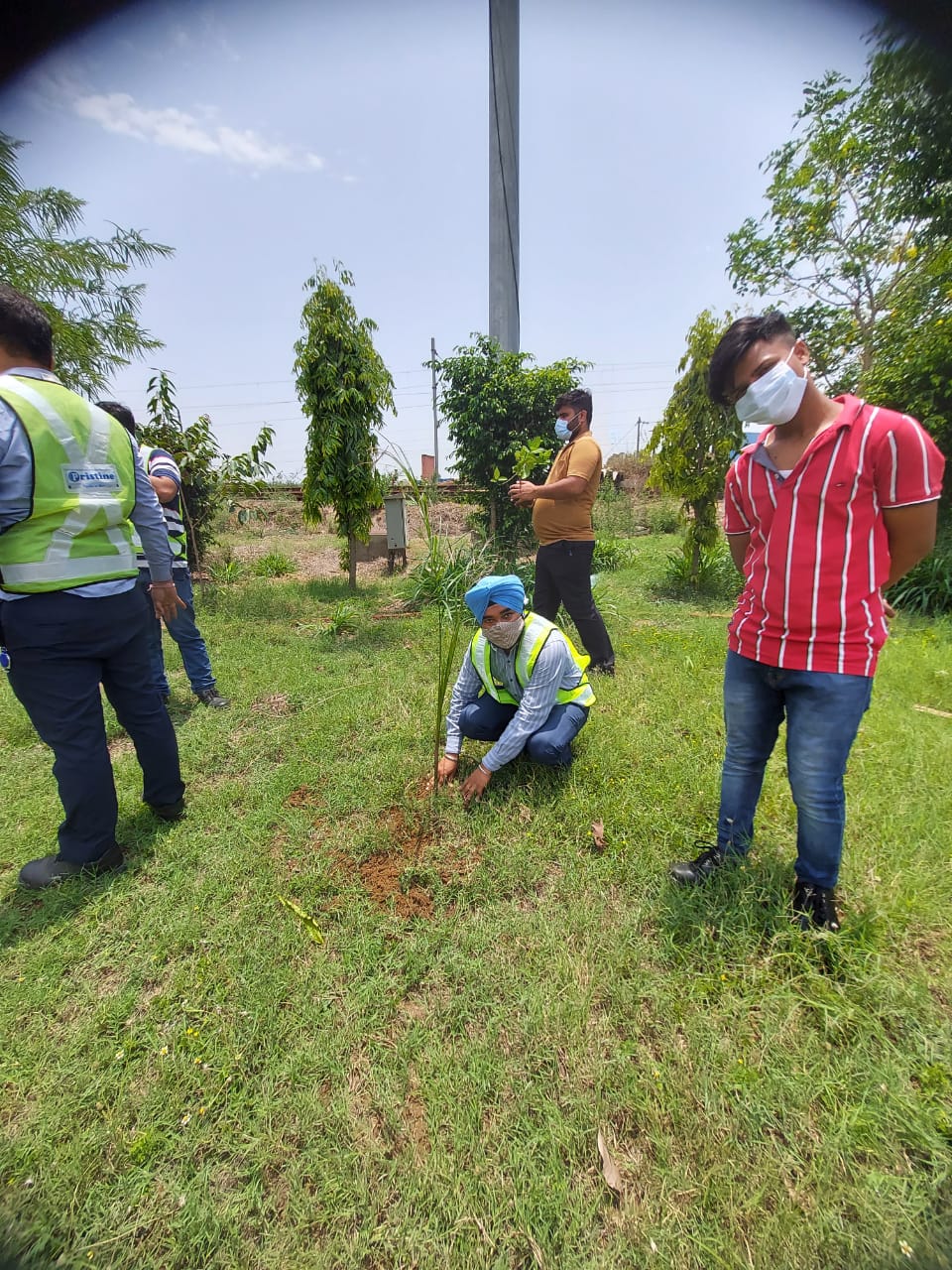 Tree Plantation by Pristine Mega Logistics Ludhiana team